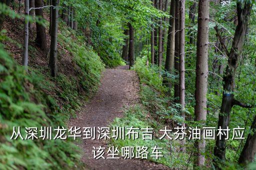 从深圳龙华到深圳布吉 大芬油画村应该坐哪路车