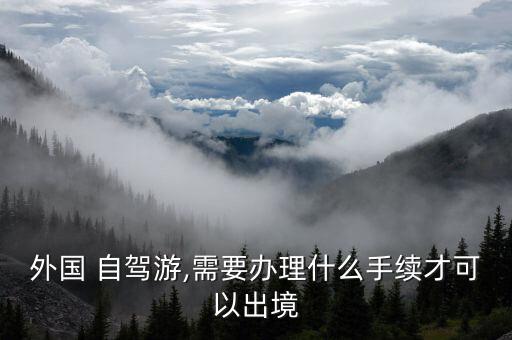 外国 自驾游,需要办理什么手续才可以出境