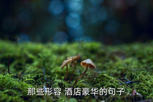 那些形容 酒店豪华的句子