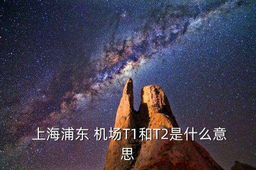  上海浦东 机场T1和T2是什么意思