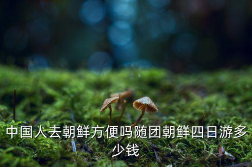 中国人去朝鲜方便吗随团朝鲜四日游多少钱