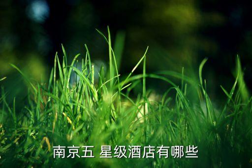 南京五 星级酒店有哪些