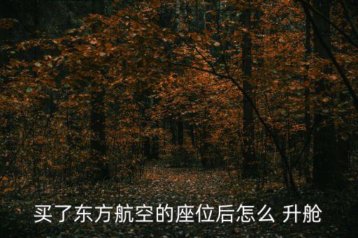 买了东方航空的座位后怎么 升舱