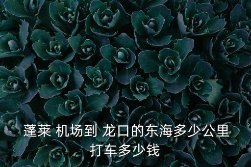  蓬莱 机场到 龙口的东海多少公里打车多少钱