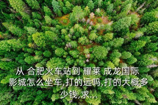 从 合肥火车站到 耀莱 成龙国际 影城怎么坐车,打的远吗,打的大概多少钱,求...