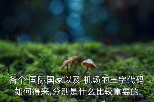 各个 国际国家以及 机场的三字代码如何得来,分别是什么比较重要的