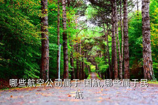 浦东国际机场国航