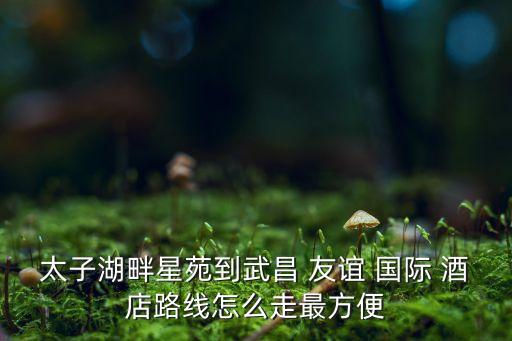 武汉市友谊国际酒店首页,呼伦贝尔友谊国际酒店