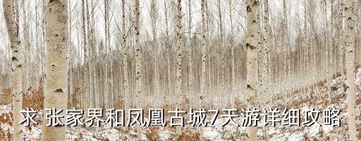 求 张家界和凤凰古城7天游详细攻略