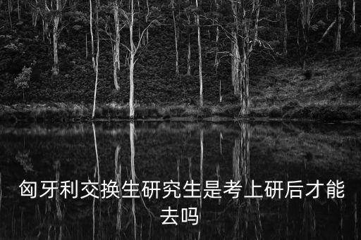 国际的交流会匈牙利大使馆