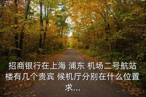 浦东国际机场vip候机厅