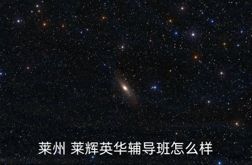 莱州 莱辉英华辅导班怎么样
