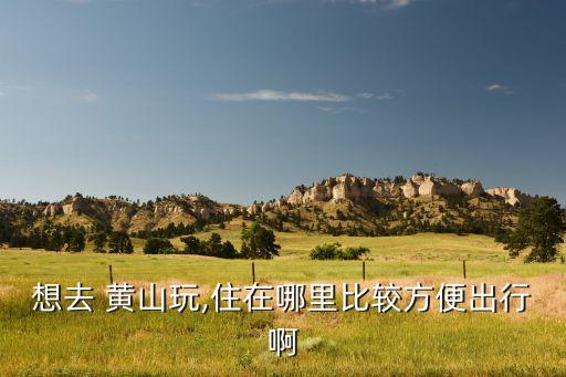 黄山太平国际大酒店图片