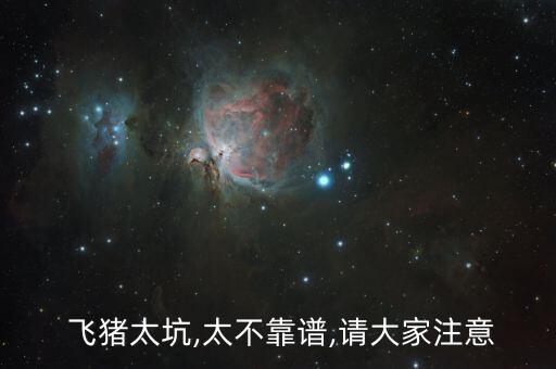 飞猪上购买国际机票靠谱吗