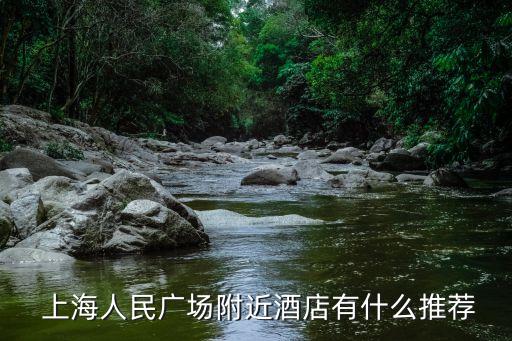 上海铭德国际大酒店,仪陇县忆德国际大酒店