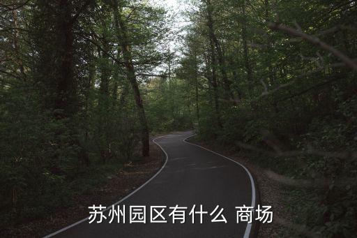 苏州石路国际商场品牌,苏州以前的石路商场在哪