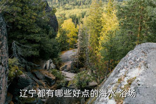 辽宁都有哪些好点的海水 浴场