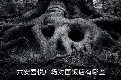  六安吾悦广场对面饭店有哪些