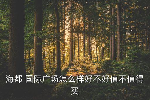 海都 国际广场怎么样好不好值不值得买