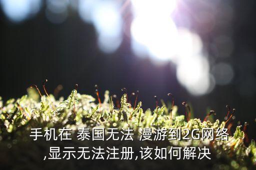  手机在 泰国无法 漫游到2G网络,显示无法注册,该如何解决