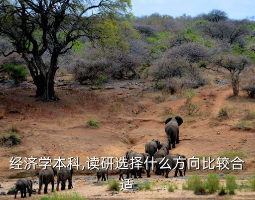 经济学本科,读研选择什么方向比较合适