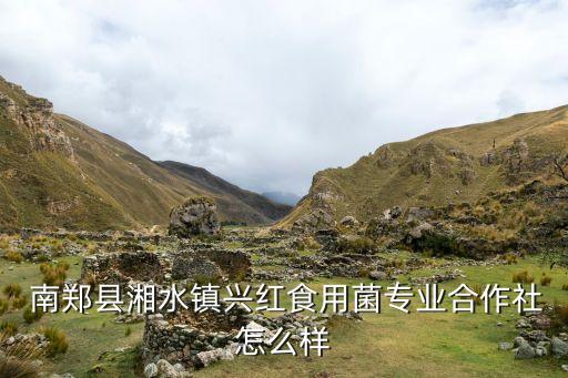  南郑县湘水镇兴红食用菌专业合作社怎么样