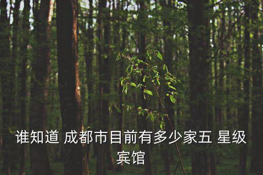 成都石化国际酒店几星级,成都五星级酒店排名前十名是