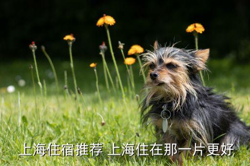  上海住宿推荐 上海住在那一片更好