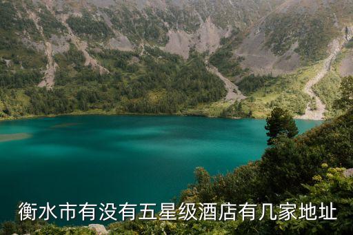  衡水市有没有五星级酒店有几家地址