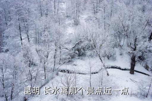昆明 长水离那个景点近一点
