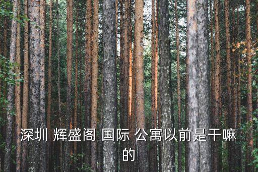 深圳 辉盛阁 国际 公寓以前是干嘛的