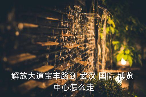 武汉国际博览中心的交通