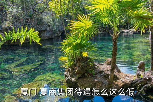  厦门 夏商集团待遇怎么这么低