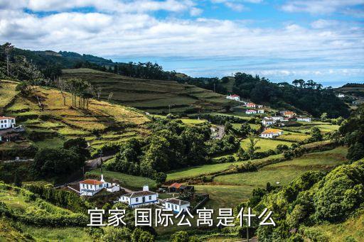 文津国际集团,文津集团是什么起家的