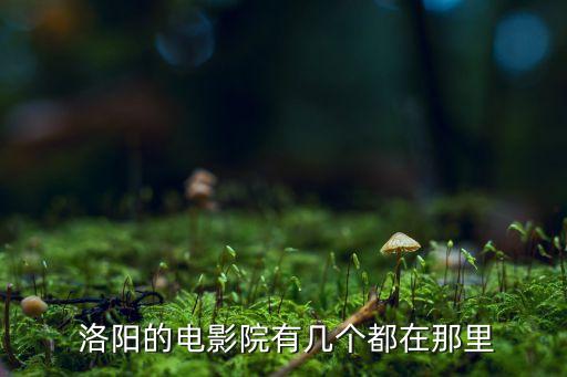  洛阳的电影院有几个都在那里