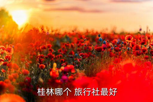  桂林哪个 旅行社最好
