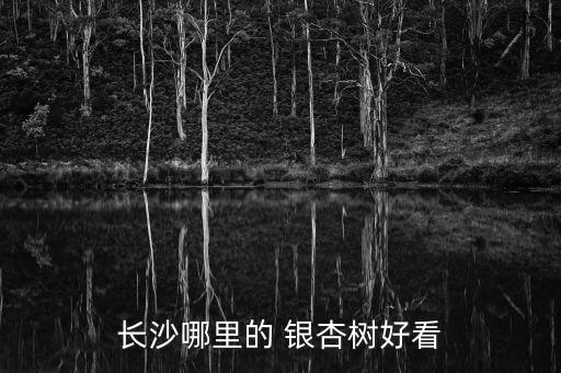 榆林银杏国际酒店有小姐吗