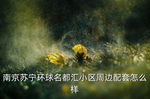 南京苏宁环球名都汇小区周边配套怎么样