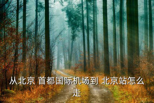 首都国际机场到北京站机场大巴时刻表