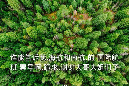 国际航司票号,666票号哪家航司