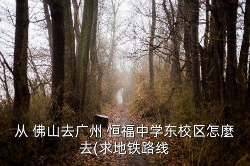 从 佛山去广州 恒福中学东校区怎麼去(求地铁路线