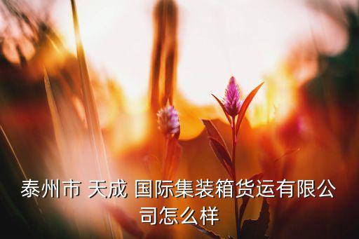 泰州市 天成 国际集装箱货运有限公司怎么样