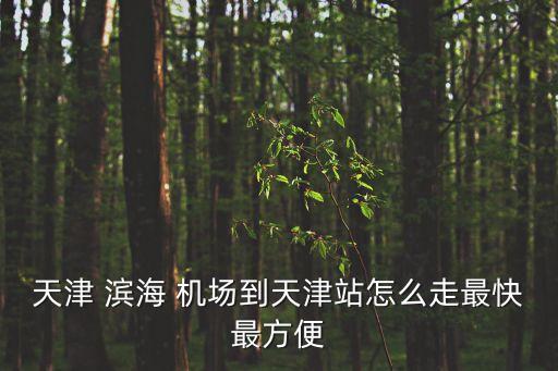 天津 滨海 机场到天津站怎么走最快最方便