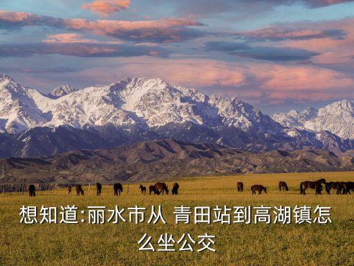想知道:丽水市从 青田站到高湖镇怎么坐公交