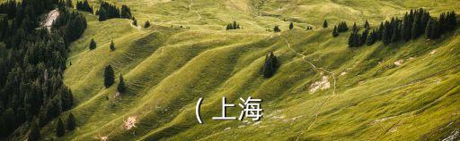 ( 上海