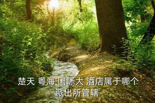 楚天粤海国际酒店美食,武汉楚天粤海酒店地铁几号线