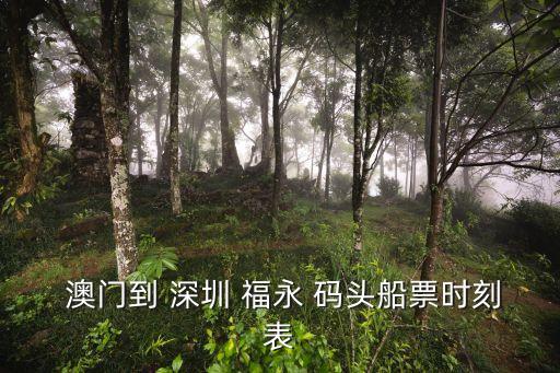 深圳福永码头到澳门国际机场