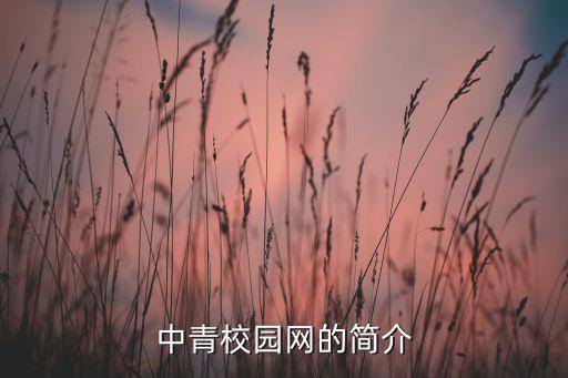 中青校园网的简介