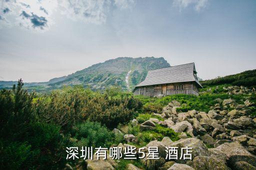  深圳有哪些5星 酒店