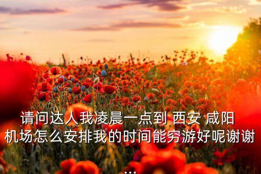 请问达人我凌晨一点到 西安 咸阳 机场怎么安排我的时间能穷游好呢谢谢...